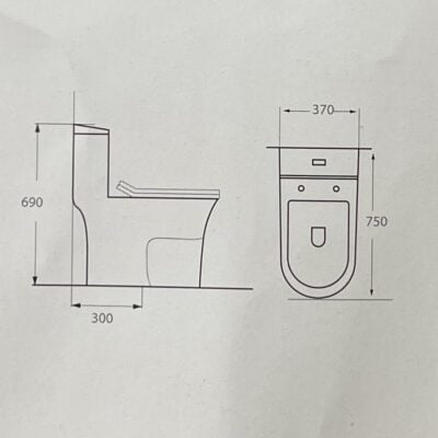 Bồn cầu một khối F304