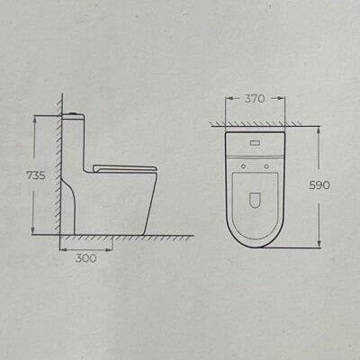 Bồn cầu một khối F 317