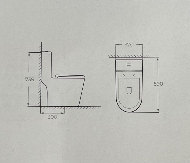 Bồn cầu một khối F 317