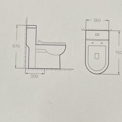 Bàn cầu một khối F391