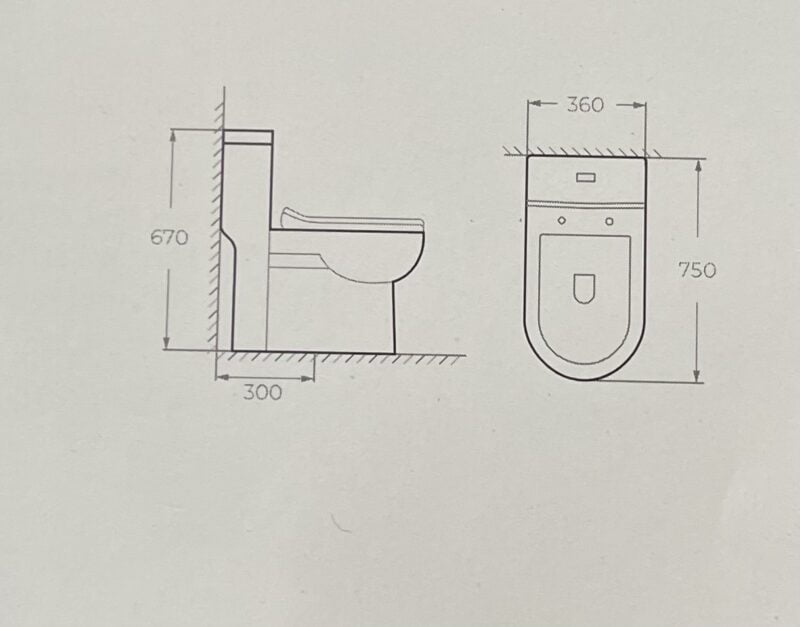 Bàn cầu một khối F391