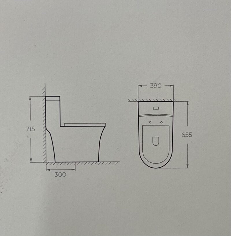 Bàn cầu một khối F 308