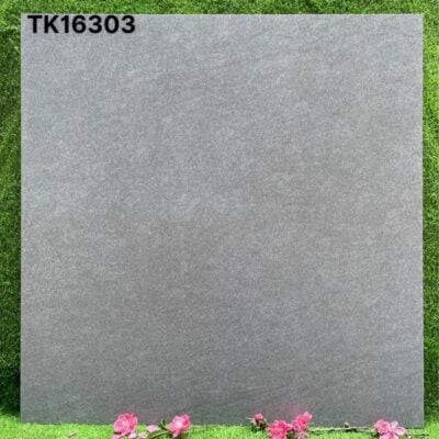 Gạch lát 60×60 TK16103TPD