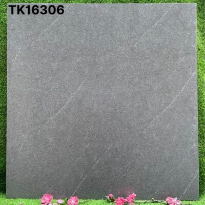 Gạch lát 60×60 TK16306TPD