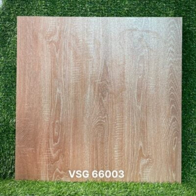 Gạch lát 60×60 VSG 66003 TPD