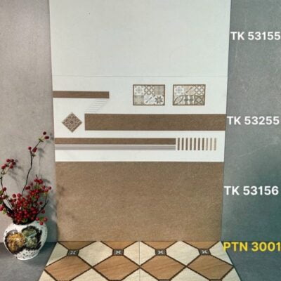 Gạch ốp 30x60TK53155/56 TPD